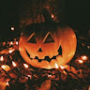 Meet your Posher, Alauna